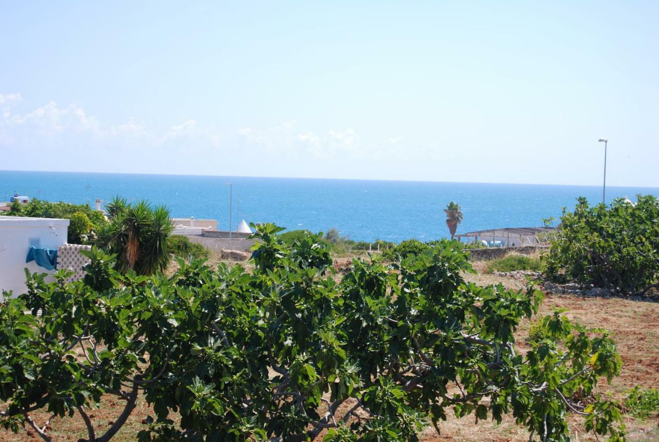 Villa Eagle'S Nest Polignano a Mare Exterior foto